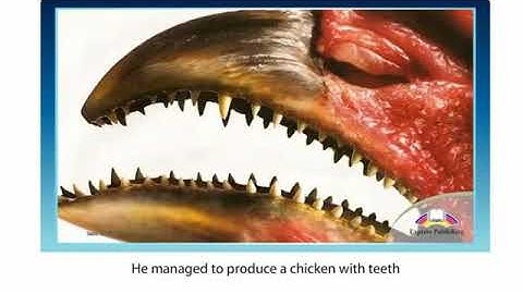 Action 10  Module 1  Back to life Ex 2 p 10 SB