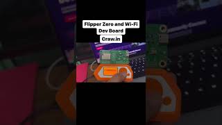 flipper zero and wi-fi dev board | flipper zero | craw security