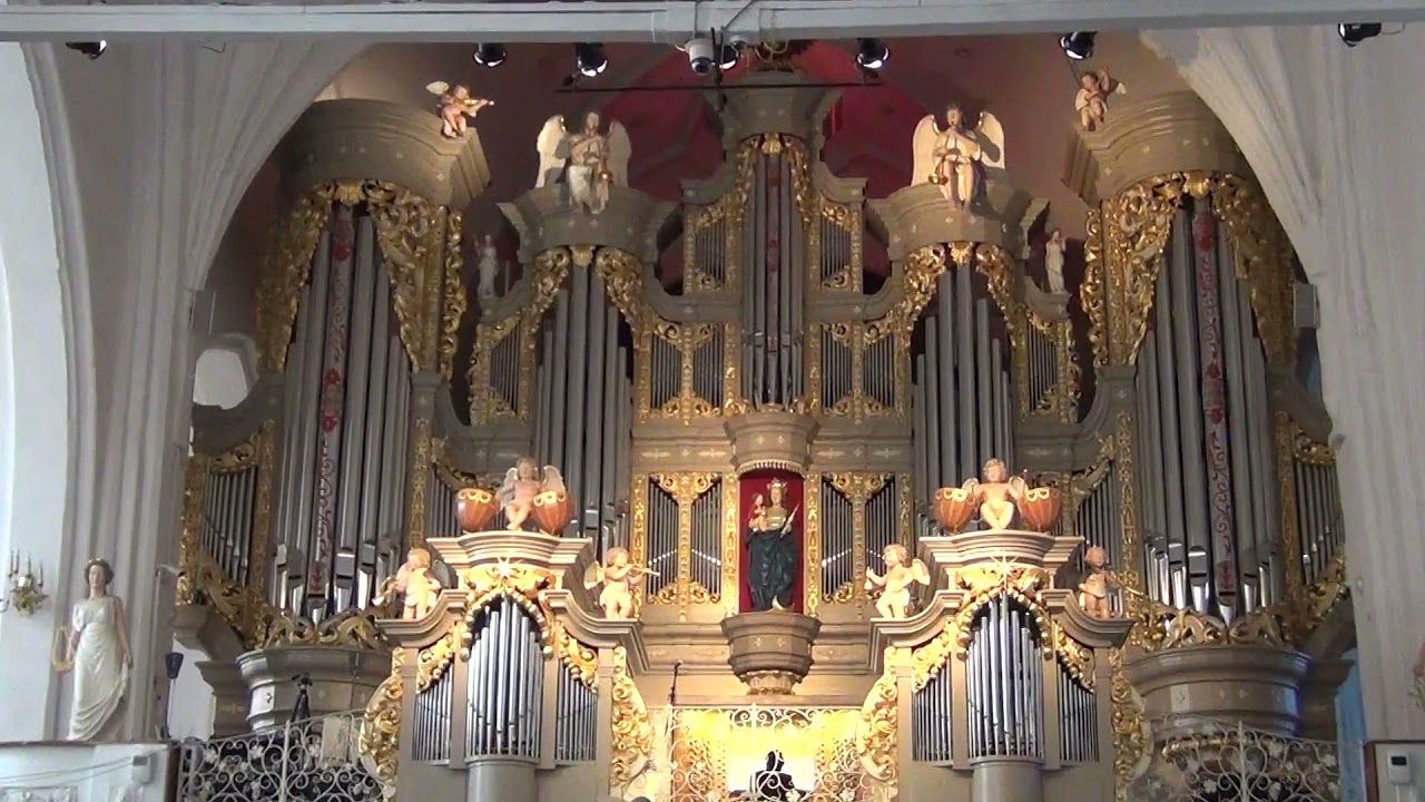 Орган в калининграде купить билет. Орган в кафедральном соборе Прага. Орган Домского собора фото.