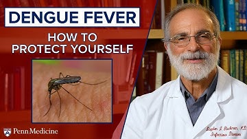 Dengue Fever and Mosquitos: How to Protect Yourself