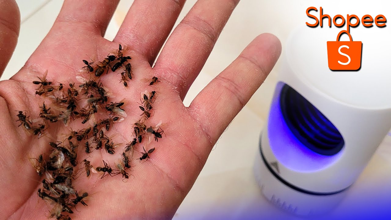 Armadilha de mosquito pernilongo Led - Anti insetos da Shopee