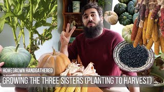 Growing a Three Sisters Garden (Planting to Harvest)