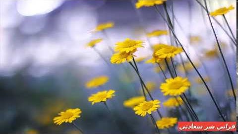 سورة يوسف بصوت السديس Surah Yusuf by voice Sudais