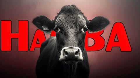 Eid-UL-Adha Edit !! Eid Mubarak