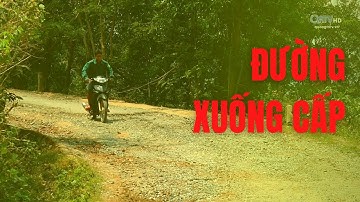 NHIỀU TUYẾN ĐƯỜNG GIAO THÔNG XUỐNG CẤP | Truyền Hình Quảng Trị