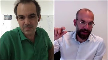 Prof Henning Sprekeler