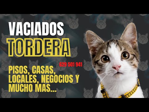 Vaciado de pisos y casas en TORDERA de muebles viejos y trastos en el Maresme #shorts