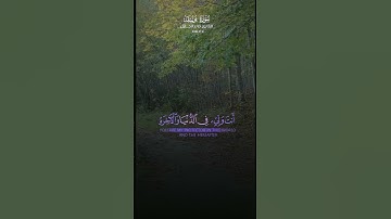 سورة يوسف. #اسلام #اكسبلور #راحة_نفسية #تيك_توك #تلاوة_خاشعة #لايك #قرآن #islam #muslim