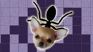 Langton's Ant (the 104 steps) - Numberphile