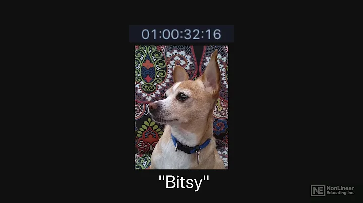 Logic Pro X 303: All Stars Tips 'N Tricks - 14. Time Code and Picture Sync