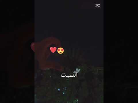 يا ليالي حبيبي قالهالي 