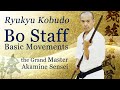 The best bo staff basic  the grand master shows you  ryukyu kobudo  ageshio japan