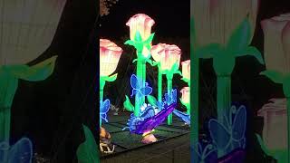 Bellingrath Gardens Lantern Festival