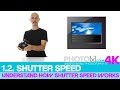 SHUTTER SPEED explained (in 4 minutes) - Beginner Course Lesson #2