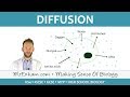 Cell Transport Mechanisms: Exploring Diffusion Osmosis and Active Transport