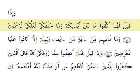 سورة يس - من الاية 46 الى 51 بصوت جميل