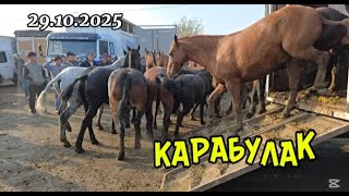 видео: Жылқы базар Қарабұлақ мал базар 29.10.2025 картинка: Жылқы базар Қарабұлақ мал базар 29.10.2025