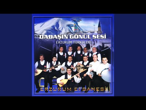 Şad Ol Deli