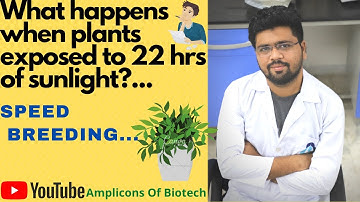 What happens when plants are exposed to 22 hrs of sunlight ? (Speed breeding)