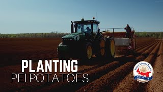 Planting PEI Potatoes