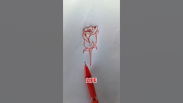 Easy Rose Drawing for Beginners – Learn to Sketch Beautiful Flowers #art #foryou #sketch #howtodraw