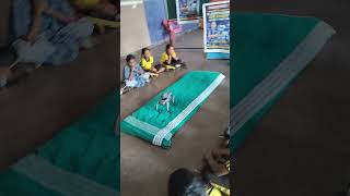 Ai Robot Dog at St.Joseph's School #mallasandra #airobodog #robodog #ipldog #iplrobodog #ai #aidog