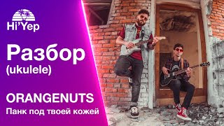 Orangenuts - Панк под твоей кожей | Разбор на укулеле для новичков