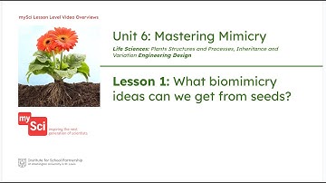 Unit 6 Lesson 1 Video