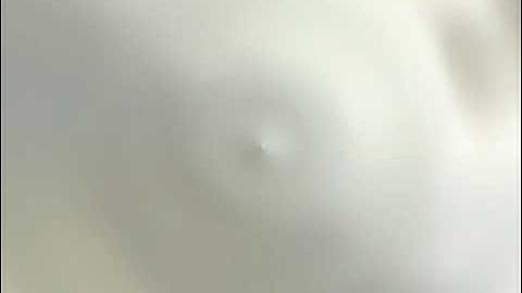 I Made 4ormulator V20 Visuals on AVS Video Editor