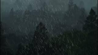 1 Menit Suara Hujan yang Menenangkan | Jernihkan Pikiran | Rileks | Hujan yang Menenangkan