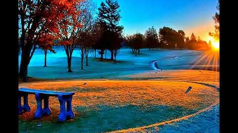 سورة طه • أحمد سعيد العمراني | Ahmad Saeed Al Omrani • Surah Taha