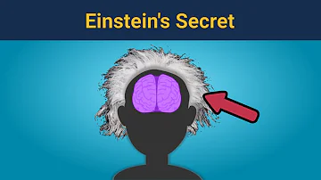 Was Einstein intelligent?