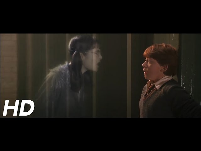 Harry Potter - Moaning Myrtle - Past Perfect