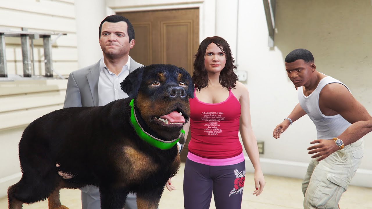 Franklin SAVING CHOP From Michael's Family in GTA 5 - YouTube