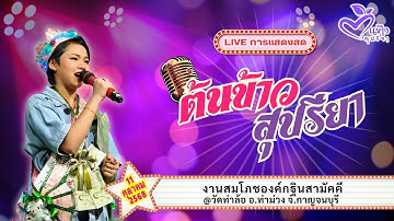 🔴มาใหม่🔴🌾คอนเสิร์ตต้นข้าว🌾งานสมโภชองค์กฐินสามัคคี@วัดท่าล้อ อ.ท่าม่วง จ.กาญจนบุรี | 11 ต.ค. 2568