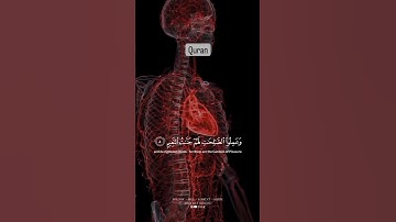 سورة لقمان | الاية 8 - 11 للقارئ ياسر الدوسري #كرومات_قرآنیة #شاشة_سوداء #قرآن_كريم #راحة_نفسية #كرو