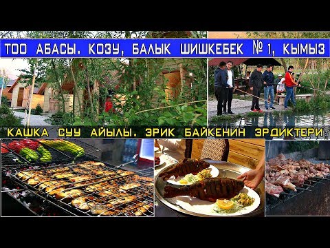 Video: Иттер шишкебек жей алабы?