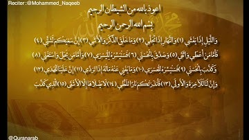القارئ محمد النقيب سورة الليل,  وَاللَّيْلِ إِذَا يَغْشَى Surah Al Layl With  Arabic Text