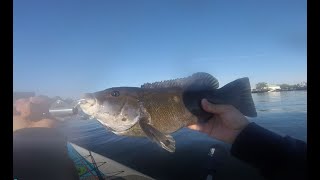 Fishing with Asian Crab for Blackfish New York - Jetty Tautog