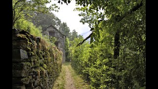 «Via del Mercato» Camedo - Intragna, Centovalli Wanderung (Tessin/Schweiz)