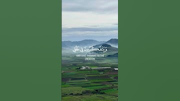 الذين يذكرون الله  | قرآن كريم  سعد الغامدي | #quran #حالات_واتس #ستوريات