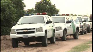 Marijuana Plantation Investigation