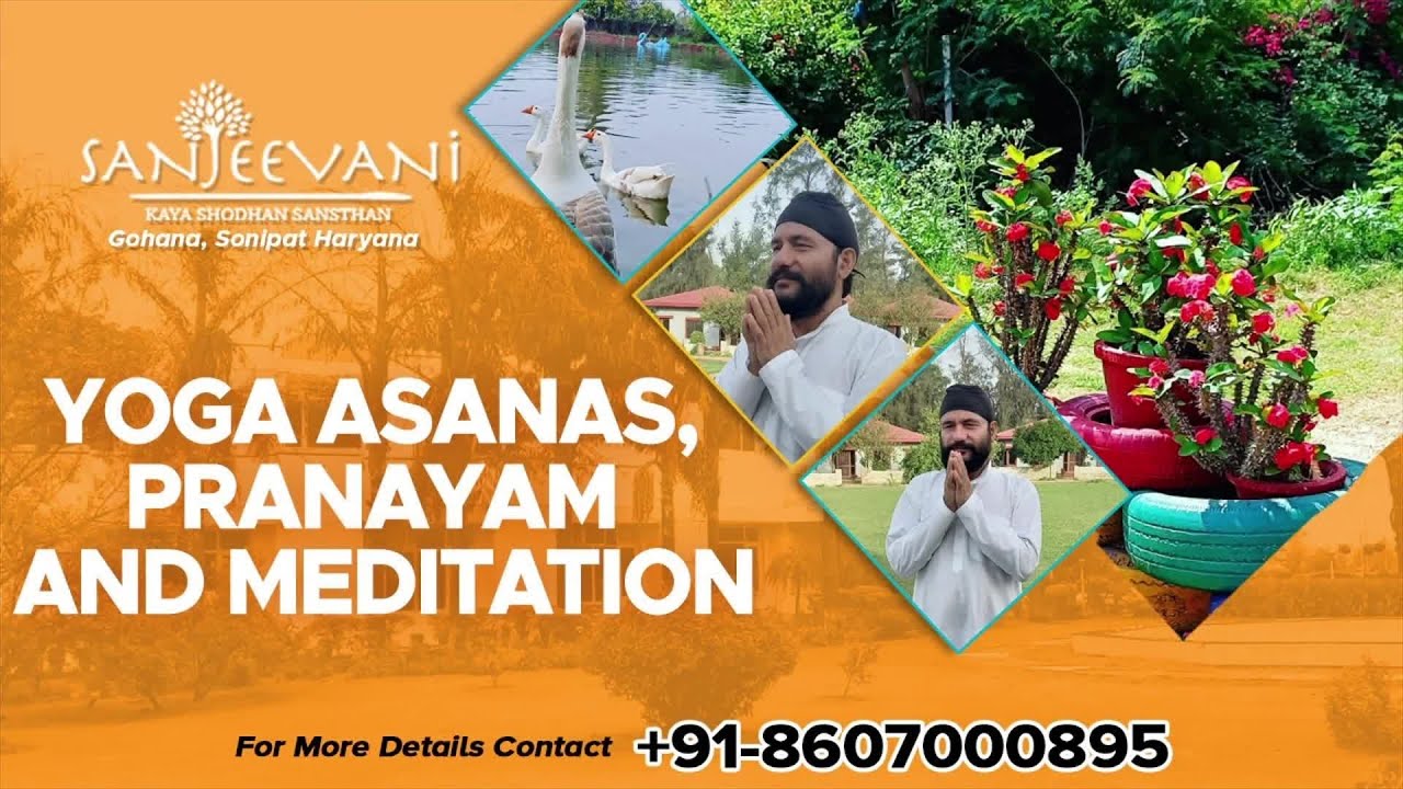 Yoga Online Classes Sanjeevani Naturopathy & Ayurveda Centre By Dr