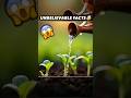 Barish ki Smell Achhi Kyu Lgti hai😱|| #facts #shortsviral #shorts #soil #viral #ytshorts
