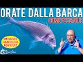 Pesca all Orata Dalla Barca, come si pescano le orate, tutorial di Stefano Adami