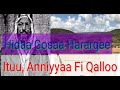 Hortee Oromo Oromiyaa Bahaa Fi Naannawa Harargee Hidda Gosoota Harargeeti Argamani 