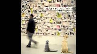EVIDENCE - FALLING DOWN