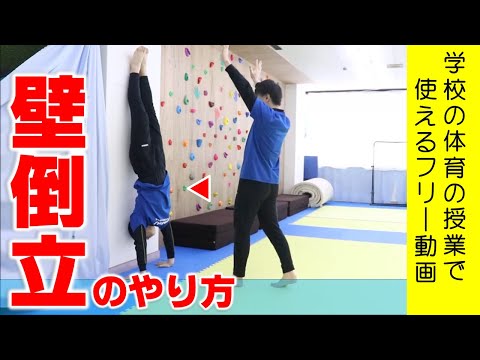 正直 めちゃ簡単 これだけは抑えたい倒立のコツ 子供でもすぐにできる Dews デュース