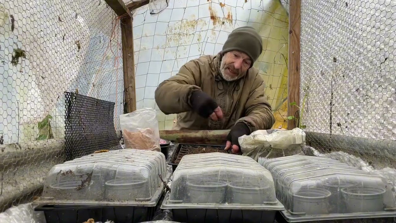 Wet weather trick for growing onion sets in winter.