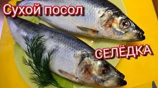 видео: В чём секрет вкусной селёдки? Наш рецепт! картинка: В чём секрет вкусной селёдки? Наш рецепт!